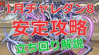 【パズドラ】1月チャレンジダンジョン8を安定ノーコン攻略(ソロ)｜橋姫固定チーム