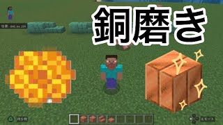 マイクラトロフィー🏆「磨きあり磨きなし」取得方法