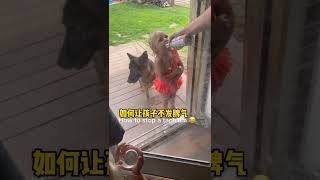 #Funny Video #搞笑 如何不让孩子发脾气 #萌娃