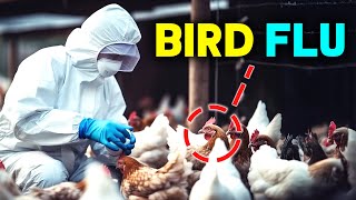 What Happens If You Catch Bird Flu? | THE NEXT PANDEMIC