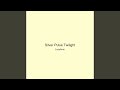 Silver Pulse Twilight