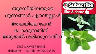 Tulsi Leaves - Actions and Uses Dr T L Xavier