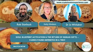 Soul Blueprint Activation & The Return of Human Gifts — Fairies found imprinted in a tree!
