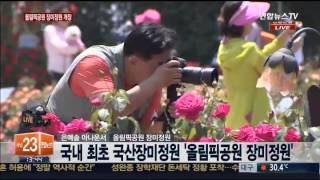 '국산장미'로 특화된 올림픽공원 장미정원 개장