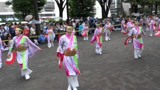 原宿よさこい連／NHK前ケヤキ並木通り／原宿表参道元氣祭スーパーよさこい2015（初日）