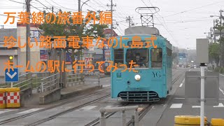 万葉線番外編,珍しい路面電車なのに島式ホームがある駅に行ってみた