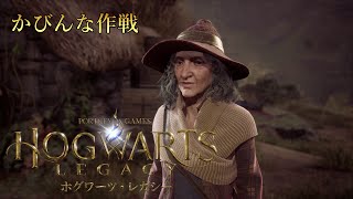 『ホグワーツ・レガシー』サイドクエスト：かびんな作戦 Walkthrough [4K]