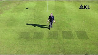 Managing turf quality with Vitalnova Stressbuster