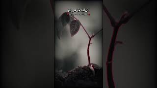 Tariq Jameel bayan| Islamic Short video|#shorts#shortvideo💫