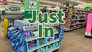Dollar Tree 2026 | NEW Finds This Week😮😮😮