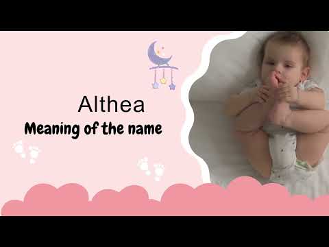 Who is Althea in the Bible?