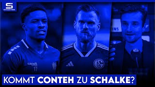 Holt Schalke Conteh? Osnabrück-Spiel vor Absage! Kalas will bleiben! | S04 NEWS