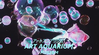 アートアクアリウム美術館  【プロジェクションマッピング】  ART AQUARIUM Museum Projection Mapping 『東京 観光』