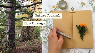 Nature Journal Flip Through 🌱📗