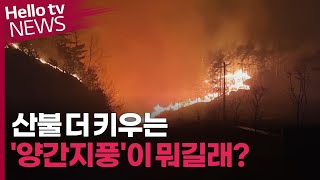 산불 더 키우는 '양간지풍', 뭐길래?