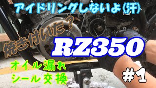 【RZ350】アイドリング続かない。オイル漏れ。原因はどこだ？　#1