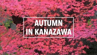 Autumn in Kanazawa City 金沢 | A Japan Travel Film