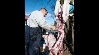 Mangalitza, Zerlegung, serbische Schnitttechnik