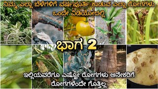 All plant diseases in 1 video | ಬದಲಾಗುತ್ತಿರುವ ಹವಾಮಾನ ಪರಿಸ್ಥಿತಿಯಲ್ಲಿ ಕಾಡುವ ರೋಗಗಳ ಬಗ್ಗೆ ಮಾಹಿತಿ part 2