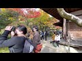 japan kyoto 2021 京都 嵐山 常寂光寺 京都 紅葉名所 コントラストno.1✨紅葉最盛期に再チャレンジして綺麗な赤黄色モミジと緑色の苔を撮影✨