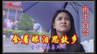 雨中百合《含着眼泪思故乡》