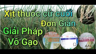 Xịt thuốc cử cuối | giải pháp giúp lúa vô gạo | Nông Dân Miền Tây.