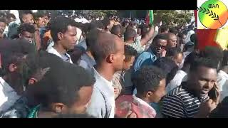 ደመላሹ ወልደያ ነፃ ወጥተቀል። woldya is free from TPLF።@welebaentertainment