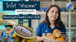 สหกรณ์การเกษตรห้วยคต จำกัด