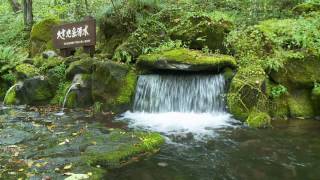 東川米・大雪旭岳源水