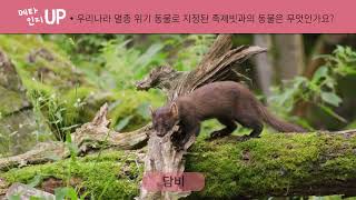 안다과학 11호1단계1주 통합