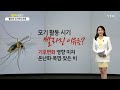 빨라진 모기와의 전쟁...기후변화 영향 앵커리포트 ytn