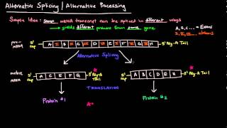 Alternative Splicing / Alternative Processing (Eukaryotes)