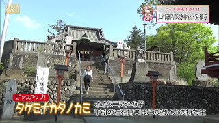 【ぐんま御朱印さんぽ】上州藤岡諏訪神社・宝積寺(24/04/25)