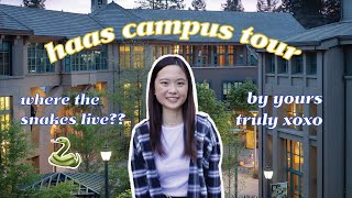UC Berkeley Haas Campus Tour | Haas School of Business 🐻✨