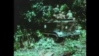 Army 11th Armored Cavalry In Vietnam