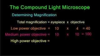 Determining Magnification