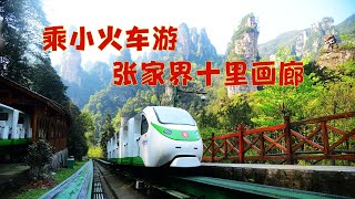 乘小火车游玩张家界十里画廊 #张家界 #十里画廊 #小火车