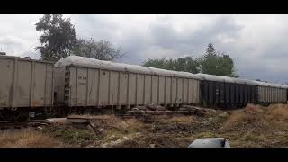 alcanzando este tren directo guadalajara-irapuato  FXE 4110 FXE 4627 fxe 3819 @kevinoswaldofxe3817