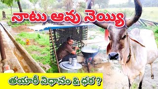 మా Dairy Farm లో నాటు ఆవు నెయ్యి ఎలా తయారు చేస్తామో తెలుసా | Dairy Farm | Gircow | Desicow |