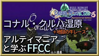 古代セルキーの民が求めた理想郷　コナル・クルハ湿原をじっくりと解説・エリア攻略(前編)【解説】FFCCの世界観・ストーリーを解説　＃１４