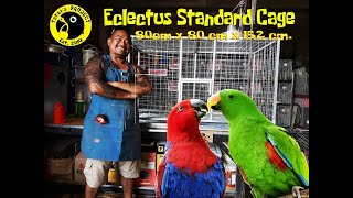 Eclectus Standard Cage