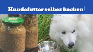 Hundefutter selber kochen neue Rezept!