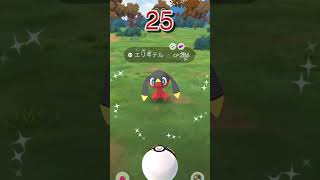 ワイルドエリアでゲットした色違い67連発ww