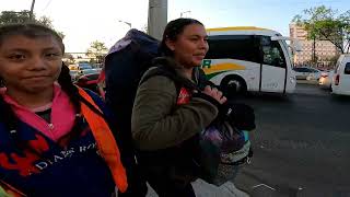 THOUSANDS OF PILGRIMS WALK ON THE ZARAGOZA ROAD TOWARDS THE VILLA 2024/FAITH MOVES MOUNTAINS