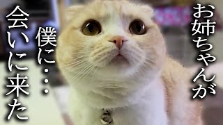 お姉ちゃんが１年ぶりに帰省したら大喜びの猫と犬がこちらです...