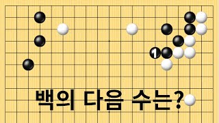 백의 다음 수는?