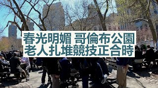 紐約 唐人街 哥倫布公園老人扎堆