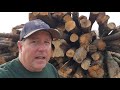 Feeding A Firewood Processor is a Big Job