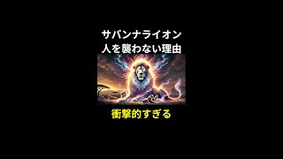 サバンナのライオンが人を襲わない理由が衝撃的すぎる