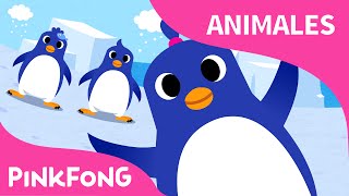 Pingüinos, A Bailar | Animales | PINKFONG Canciones Infantiles